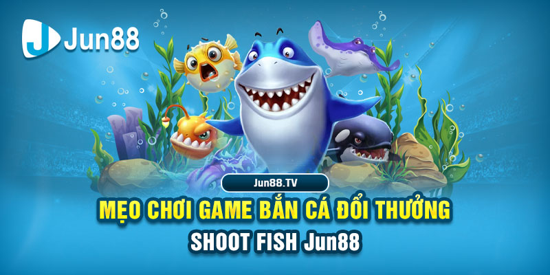 123win79 tai game danh bai bigkool ve may tinh
