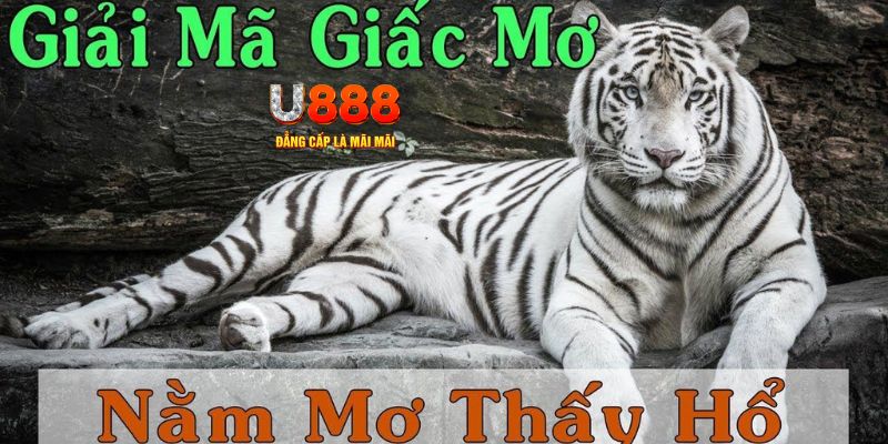 123win79 xổ số kiến thiết miền bắc