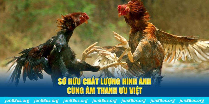 123win79 tai game danh bai ve may tinh