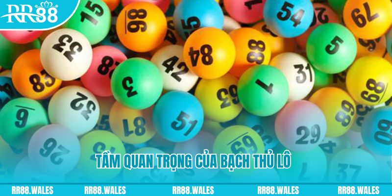 123win79 đá gà trực tiếp casino