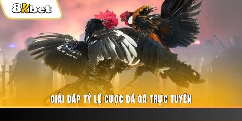 123win79 xổ số ba đài