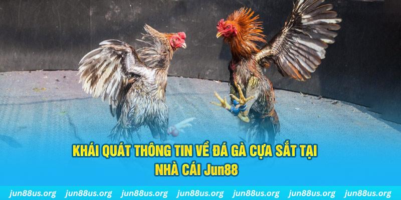 123win79 game bài trên máy tính