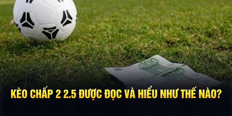123win79 đá gà thomo